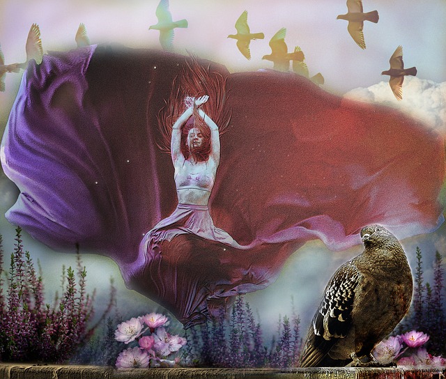 是家属们对 是家属们对