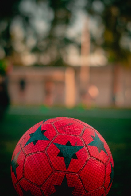 贝林厄姆 贝林厄姆