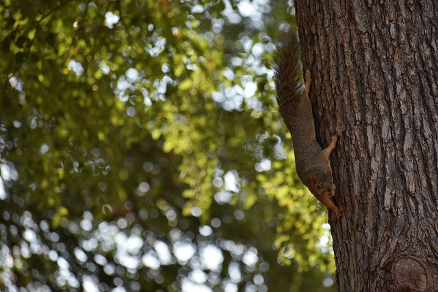 分析这场比 分析这场比