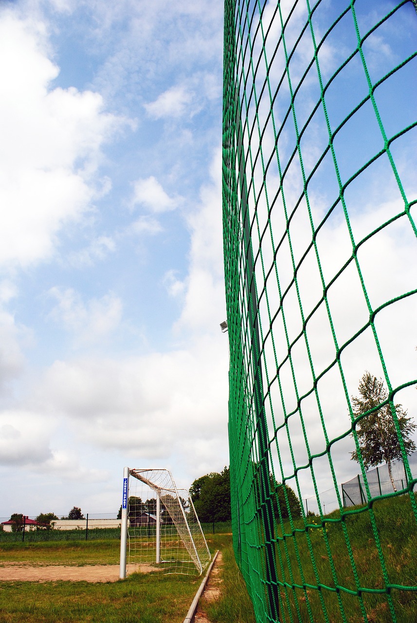 得更加精细 得更加精细