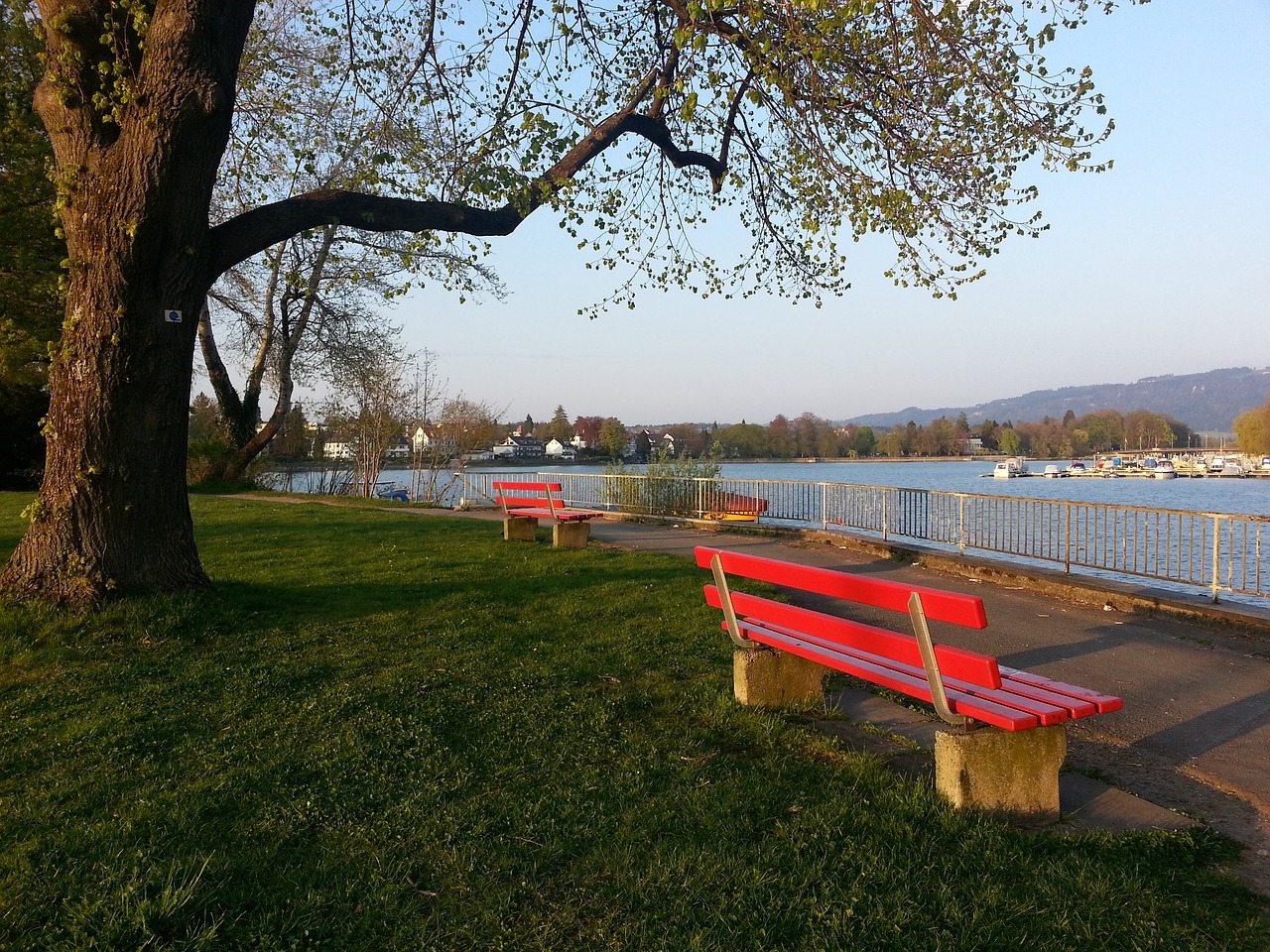 他们的中场 他们的中场