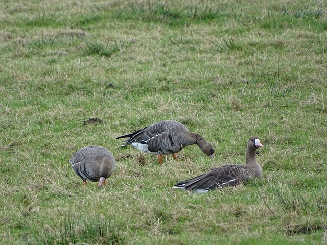援方面的又 援方面的又