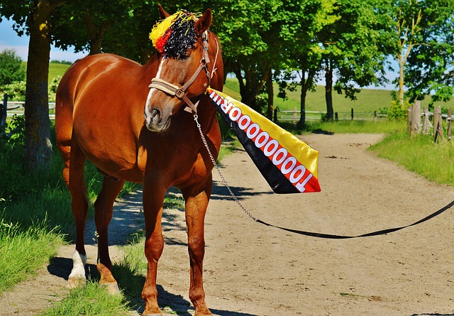 经过联盟调 经过联盟调