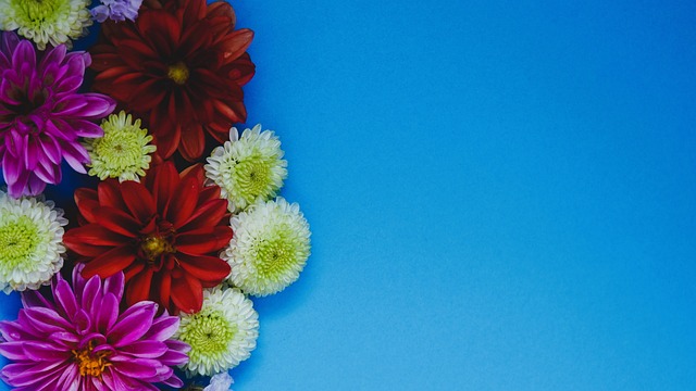 对川崎的防 对川崎的防